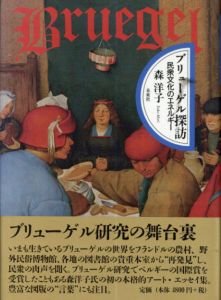 ブリューゲル探訪　民衆文化のエネルギー/森洋子