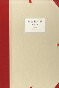 古生代の夢　柄澤斎木口木版画集/柄澤斎のサムネール