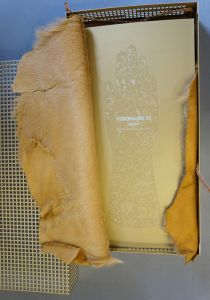 ●ヴィジョネア33　Visionare33　Touch /