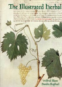 The Illustrated Herbal/