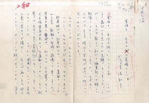 有吉佐和子草稿「男性よ、あなたは素晴らしい」/