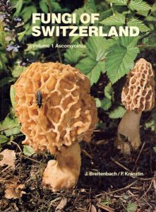 スイスの菌類 1.子嚢菌　Fungi of Switzerland 1.Ascomycetes/J.Breitenbach/F.Kraenzlin