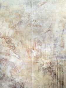 忠田愛　Ai Chuda 2006-2016/