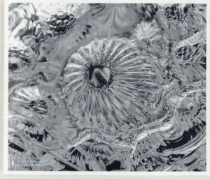 炎の果実　三嶋りつ惠作品集　Glass Works Venice/三嶋りつ惠