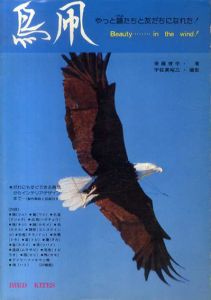 鳥凧　やっと鴎たちと友だちになれた!/後藤脩平/宇佐美裕三