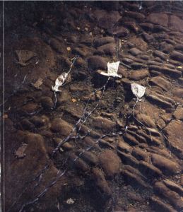 アンゼルム・キーファー　Anselm Kiefer: Nachtschattengewachse Le Capucin métallique/