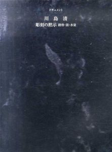  ドキュメント　川島清　彫刻の黙示　路傍・渕・水量 /川島清のサムネール