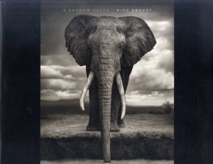 ニック・ブラント写真集　A Shadow Falls/Nick Brandt　Peter Singer/Vicki Goldberg序文
