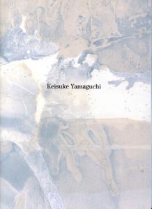 山口啓介　Colony2系としてのアート/