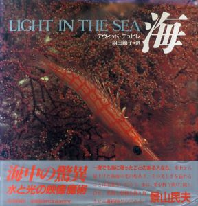 デヴィッド・デュビレ写真集　海　David Doubiret: Light in The sea /デヴィッド・デュビレ