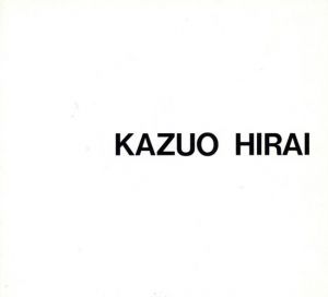 平井一男個展　1991/のサムネール