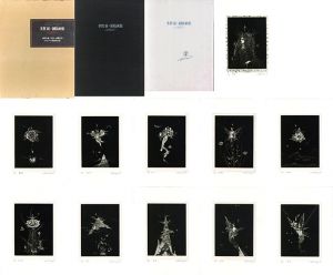 多賀新・銅版画集　/多賀新