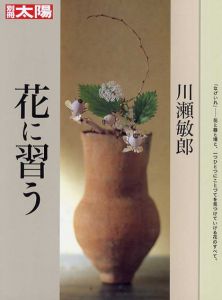 別冊太陽　川瀬敏郎　花に習う/