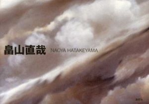畠山直哉写真集/岩手県立美術館/国立国際美術館監修