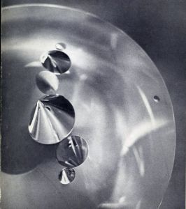 マルタ・パン　Marta Pan Sculptures en Plexiglas/