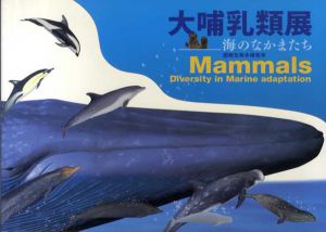 大哺乳類展　海のなかまたち/