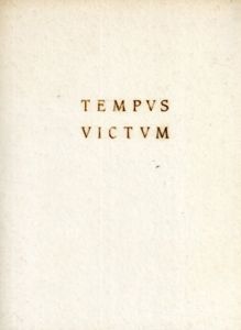 Tempvs Victvm　生きられた80年代/菅木志雄/岡崎乾二郎/川俣正他のサムネール