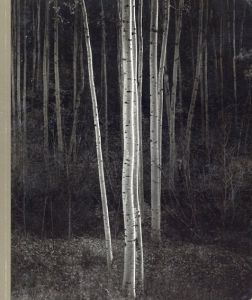 Light Years : The Friends of Photography 1967-1987/James G. Alinder
