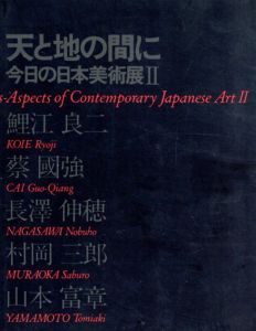 天と地の間に　今日の日本美術展2/鯉江良二/蔡國強/長澤伸穂/村岡三郎/山本富章のサムネール