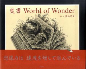 焚書　World of Wonder/鴻池朋子のサムネール