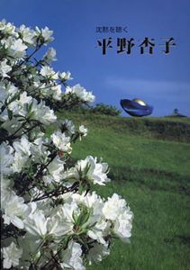 沈黙を聴く 平野杏子/
