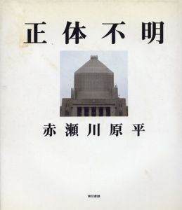 正体不明/赤瀬川原平のサムネール