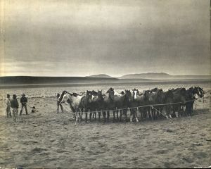 カート・マーカス写真集　After Barbed Wire: Cowboys of Our Time/Kurt Markus