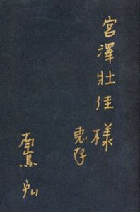 豚と福音　現代美術の純度へ / 南嶌宏