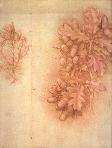 レオナルド・ダ・ヴィンチ素描展 /