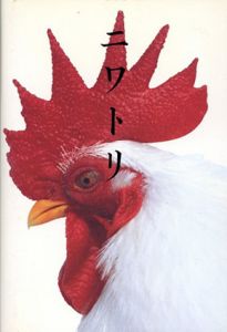 Niwatori　ニワトリ　十二支　第十番　酉/高岡一弥　久留幸子写真