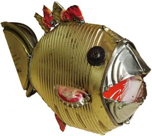 魚　z13/富田菜摘