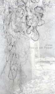 リン・ティアンミャオ　Lin Tianmiao: Focus on Paper/