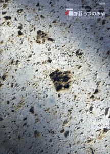 石の街うつのみや　大谷石をめぐる近代建築と地域文化　改訂版 /