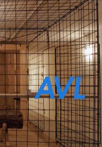 アトリエ・ファン・リーシュウト　Atelier van Lieshout/Martine Schneider-Speller/Alexandra Midal/Joep van Lieshout/Atelier van Lieshout/Beaumontpublic & Konigbloc (Luxembourg)