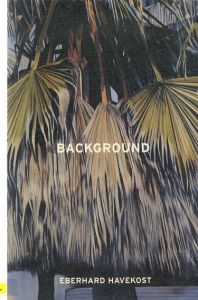 Eberhard Havekost: Background/