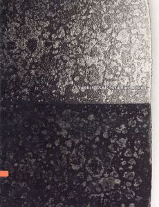 大嶽有一　鉄の彫刻　Yuichi Otake: Sculpture of Iron 1981-2000/大嶽有一編監