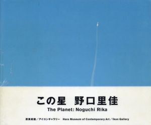 この星　The Planet： Noguchi Rika/野口里佳