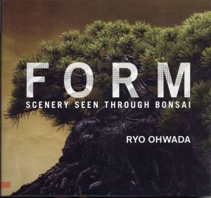 FORM: SCENERY SEEN THROUGH BONSAI/大和田良