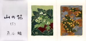 熊谷榧版画集　山の花/熊谷榧のサムネール