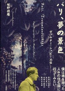 バリ、夢の景色　ヴァルター・シュピース伝/坂野徳隆