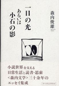 一日の光あるいは小石の影/森内俊雄