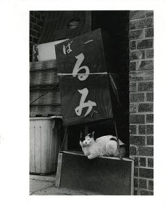 猫/武田花
