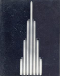 ダン・フレヴィン　Dan Flavin:monuments for V. Tatlin from Dan Flavin, 1964 - 1982/