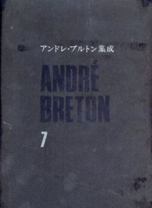 アンドレ・ブルトン集成7　野をひらく鍵/アンドレ・ブルトン　粟津則雄訳のサムネール