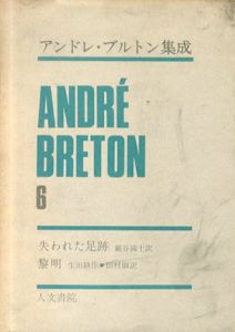 アンドレ・ブルトン集成6　失われた足跡・黎明/アンドレ・ブルトン　巌谷國士/生田耕作/田村俶訳　瀧口修造監修のサムネール