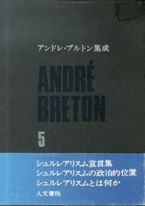 アンドレ・ブルトン集成5　シュルレアリスム宣言集他/アンドレ・ブルトン　生田耕作/田淵晋也訳　瀧口修造監修のサムネール