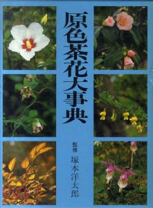 原色茶花大事典/塚本洋太郎