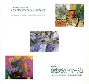 自然からのイマージュ　木村忠太・田渕安一・野見山暁治の世界/木村忠太/田渕安一/野見山暁治のサムネール