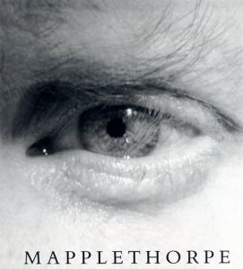 ロバート・メイプルソープ写真集　Mapplethorpe/Robert Mapplethorpe/Arthur C. Danto序論
