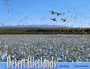 Desert Wetlands/Lucian Niemeyer　Thomas Lowe Fleischner文